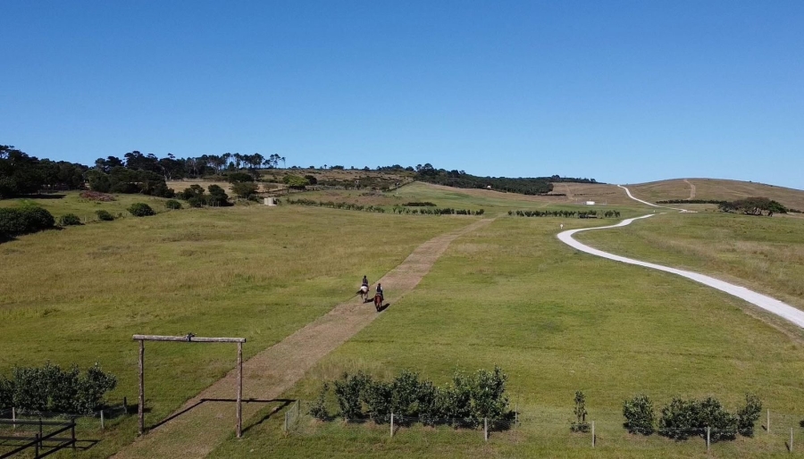 To Let commercial Property for Rent in Charlo Eastern Cape